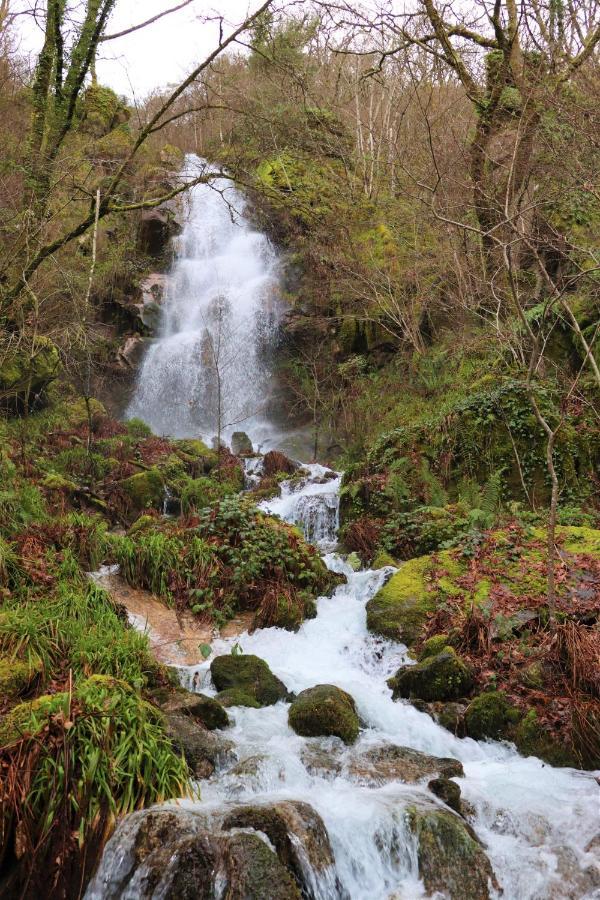 Quinta Da Riba Ma Vendégház Santa Leocadia Kültér fotó