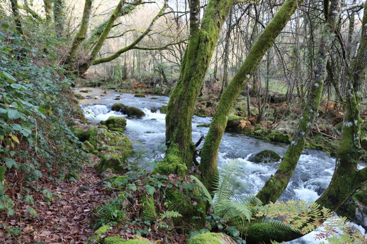 Quinta Da Riba Ma Vendégház Santa Leocadia Kültér fotó