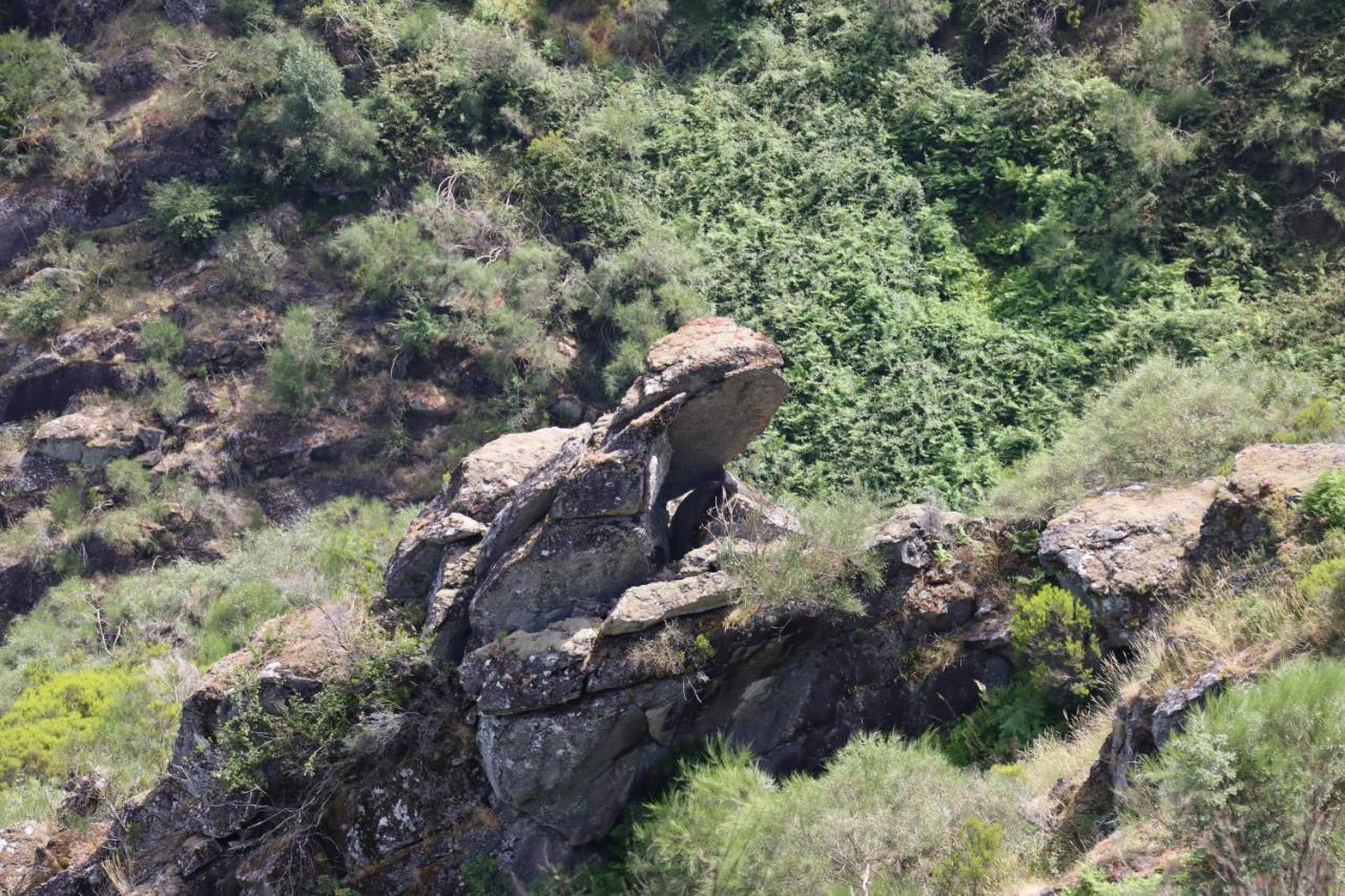 Quinta Da Riba Ma Vendégház Santa Leocadia Kültér fotó