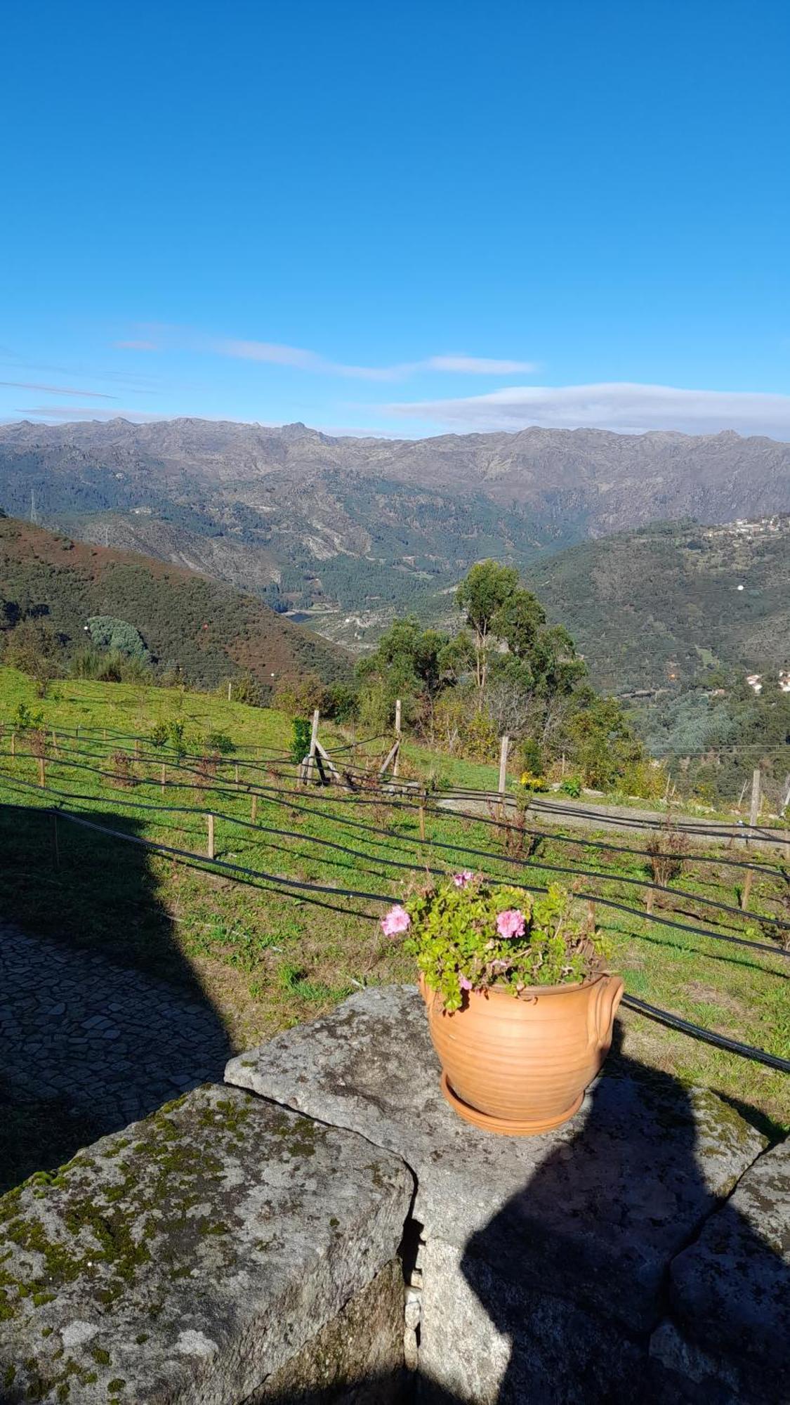 Quinta Da Riba Ma Vendégház Santa Leocadia Kültér fotó